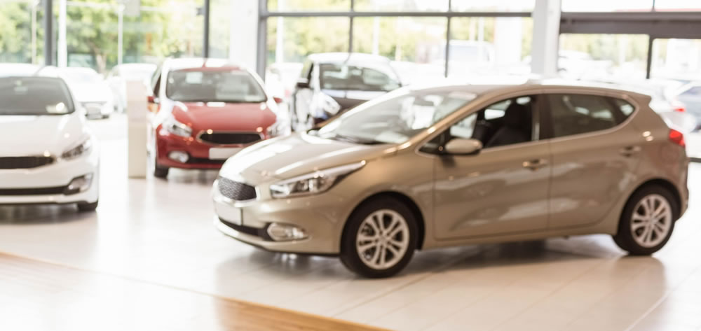 ¿Qué te describe mejor?